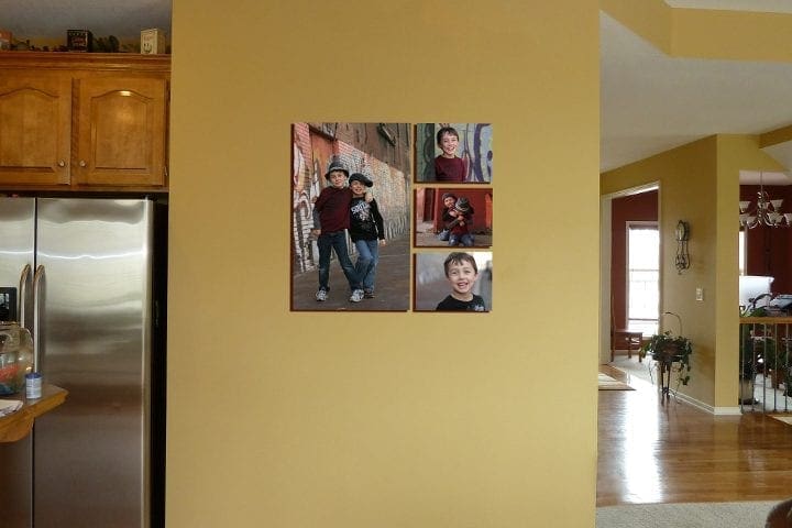 Portrait Photography Instillation
